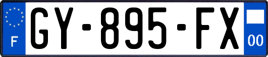 GY-895-FX
