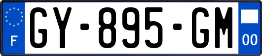 GY-895-GM
