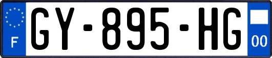 GY-895-HG