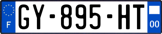 GY-895-HT