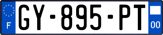 GY-895-PT