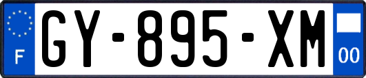 GY-895-XM