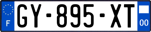 GY-895-XT