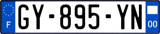 GY-895-YN