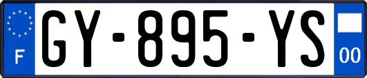 GY-895-YS