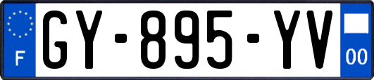 GY-895-YV