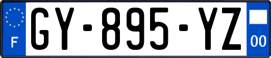 GY-895-YZ