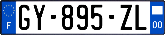 GY-895-ZL