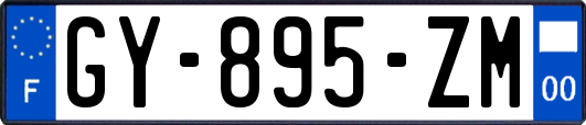 GY-895-ZM