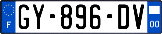 GY-896-DV