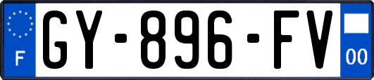GY-896-FV