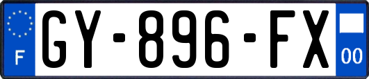 GY-896-FX