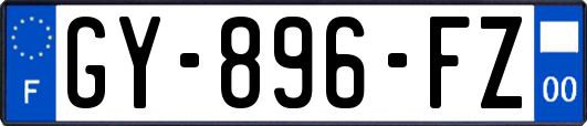 GY-896-FZ