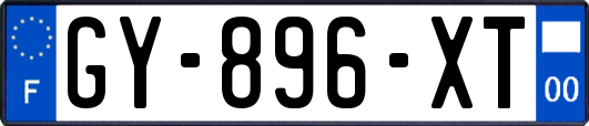 GY-896-XT