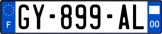 GY-899-AL