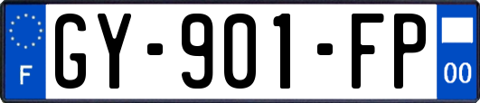 GY-901-FP