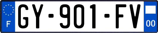 GY-901-FV