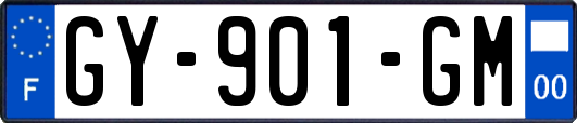 GY-901-GM