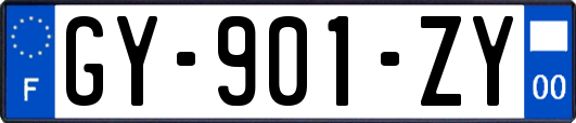 GY-901-ZY