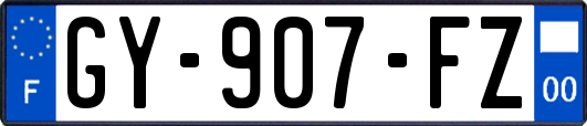 GY-907-FZ