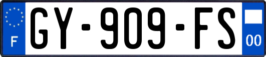 GY-909-FS