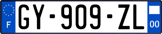 GY-909-ZL