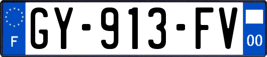 GY-913-FV
