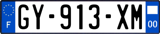 GY-913-XM