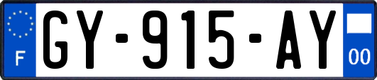 GY-915-AY