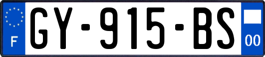 GY-915-BS