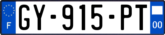 GY-915-PT