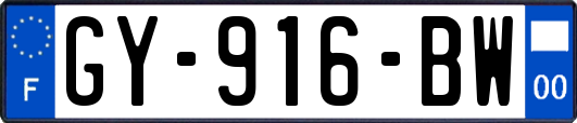 GY-916-BW