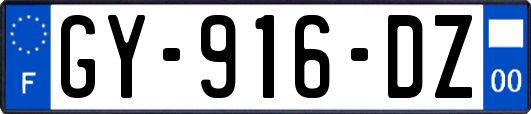 GY-916-DZ