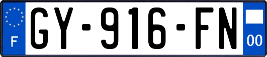 GY-916-FN