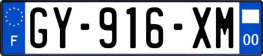 GY-916-XM