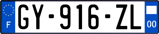 GY-916-ZL