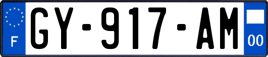 GY-917-AM