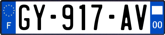 GY-917-AV