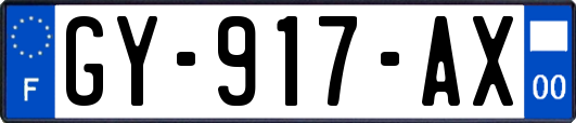 GY-917-AX
