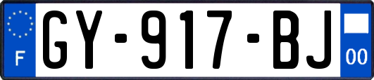 GY-917-BJ