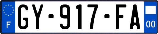GY-917-FA