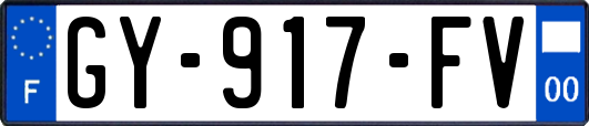 GY-917-FV
