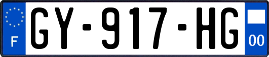 GY-917-HG
