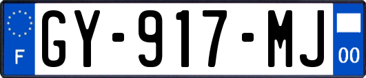 GY-917-MJ