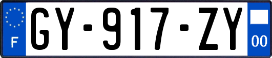 GY-917-ZY