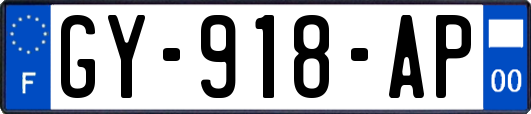 GY-918-AP