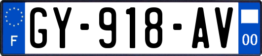 GY-918-AV