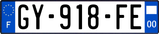GY-918-FE