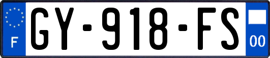 GY-918-FS