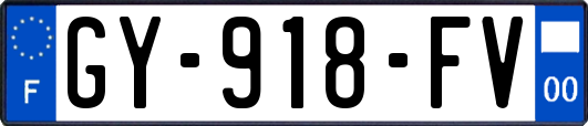 GY-918-FV